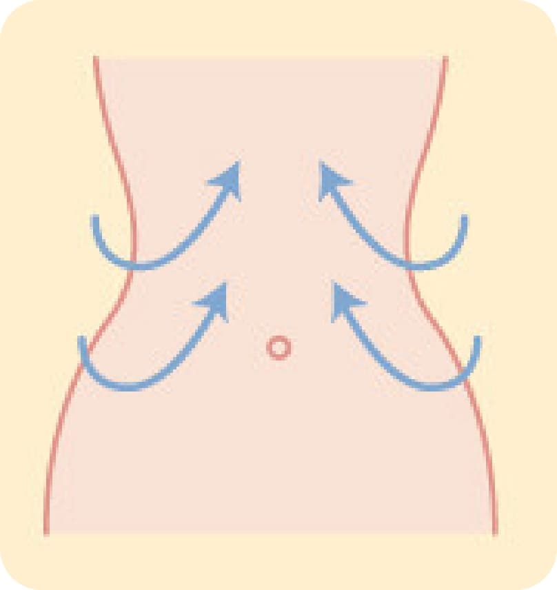 Abdomen