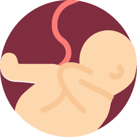 Pregnancy Icon