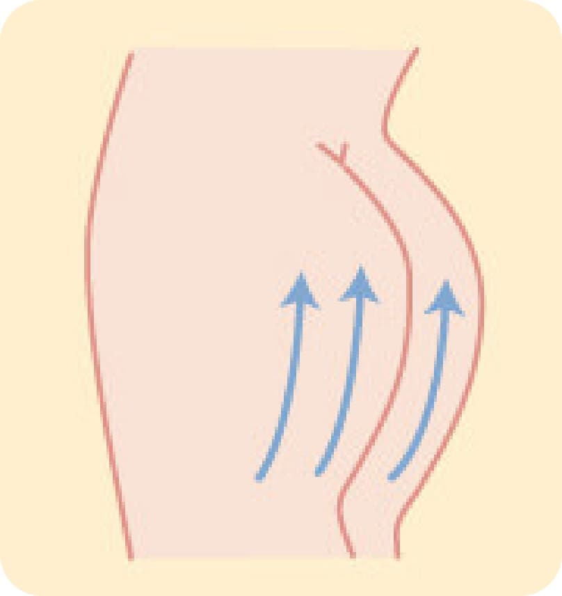 Hips