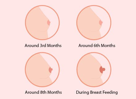 Pregnancy causes breast growth. That is to meet the coming baby’s requirements
