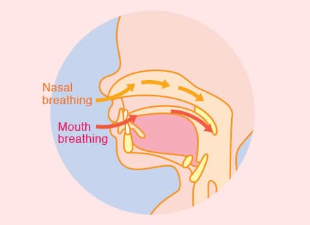 Babies need to breathe through the nose